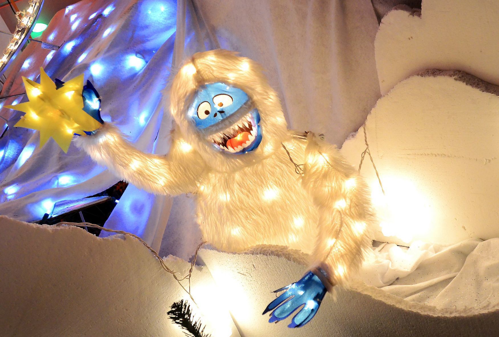 Napa Christmas lights